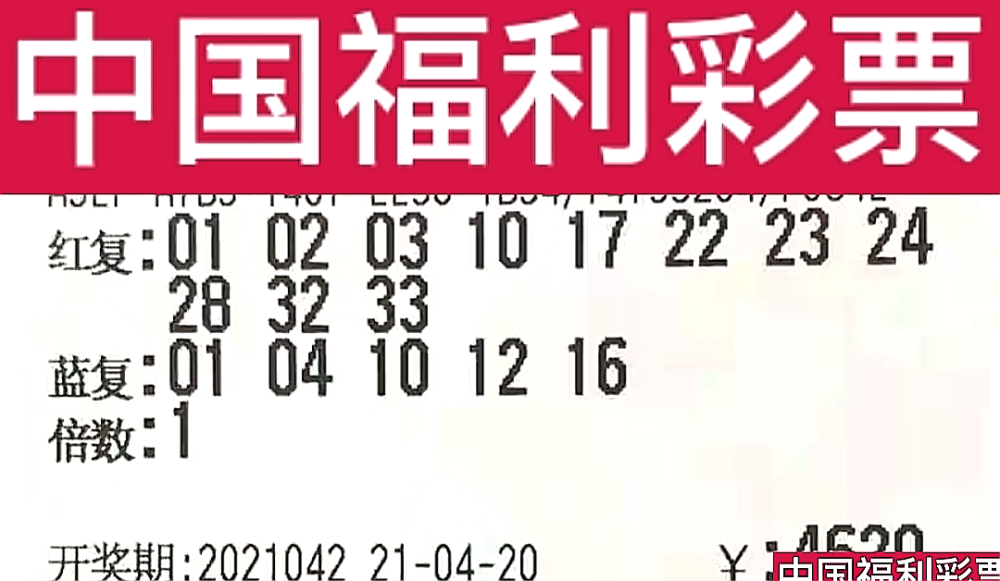 新奧門今晚開獎結(jié)果查詢第243期，全面解析與預測，新奧門第243期開獎結(jié)果解析與預測，今晚開獎揭秘