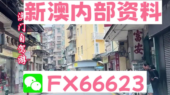 新澳精準(zhǔn)資料免費(fèi)提供，探索與實(shí)踐的指南，新澳精準(zhǔn)資料免費(fèi)分享，探索與實(shí)踐的導(dǎo)航指南