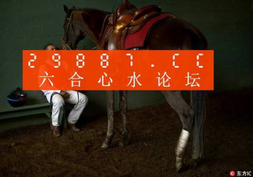 一肖一馬王中王一馬中特，深度解析與SEO優(yōu)化策略，一肖一馬王中王深度解析與SEO優(yōu)化策略探討