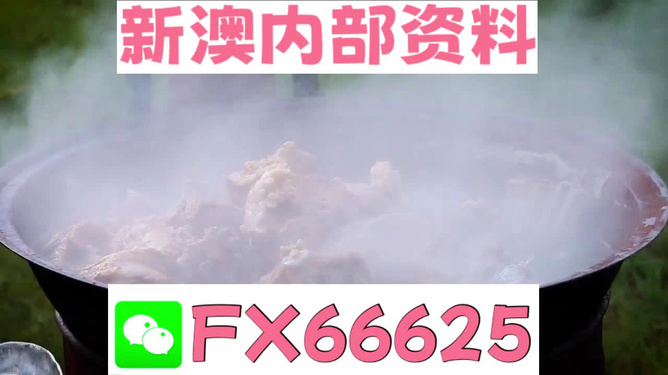 新澳全年免費(fèi)資料大全，一站式獲取優(yōu)質(zhì)資源指南，新澳全年優(yōu)質(zhì)資源免費(fèi)獲取指南