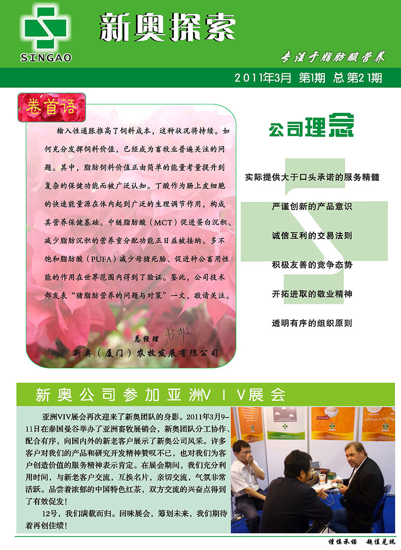 2025新澳正版資料精準(zhǔn)解析，2025新澳正版資料精準(zhǔn)解析手冊(cè)
