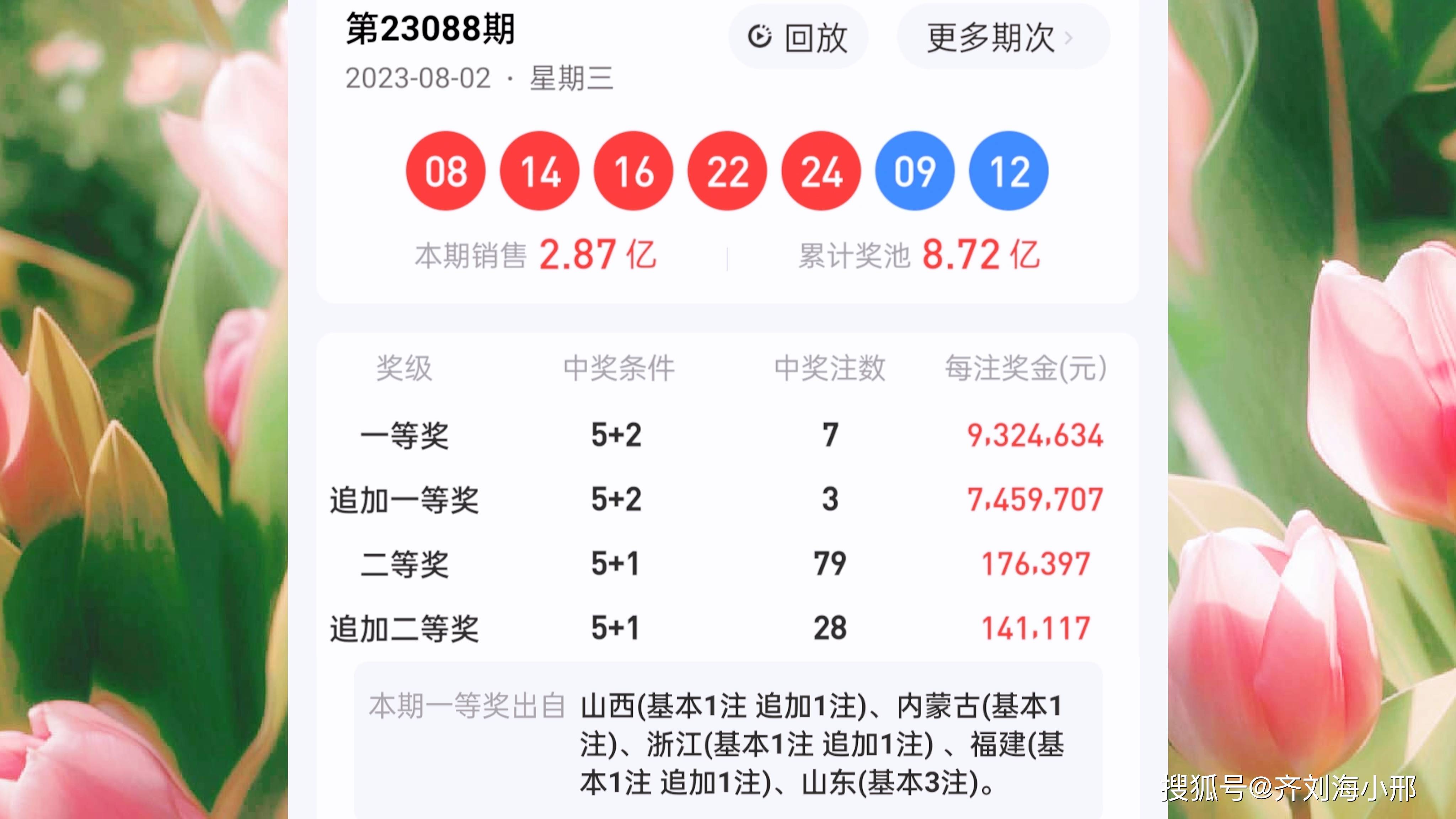 最新開(kāi)獎(jiǎng)結(jié)果揭曉，王中王與一肖中的幸運(yùn)時(shí)刻，王中王與一肖中幸運(yùn)時(shí)刻揭曉，最新開(kāi)獎(jiǎng)結(jié)果出爐