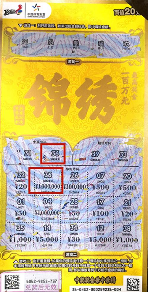 王中王六肖一碼期期中的奧秘與探索，王中王六肖一碼期奧秘揭秘與探索