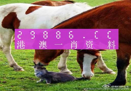 新奧門(mén)一肖一碼，揭秘精準(zhǔn)預(yù)測(cè)的秘密，揭秘新澳門(mén)一肖一碼精準(zhǔn)預(yù)測(cè)的秘密