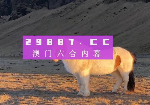 澳門彩六開獎結(jié)果第52期，深度解析與預(yù)測分析，澳門彩六第52期開獎結(jié)果深度解析與預(yù)測分析