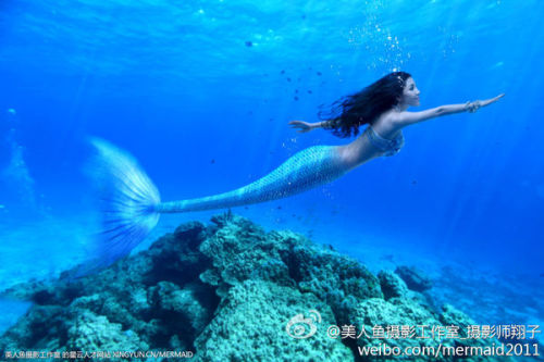 澳門美人魚最快開獎(jiǎng)結(jié)果圖——揭秘?zé)衢T彩票游戲背后的秘密，澳門美人魚彩票開獎(jiǎng)揭秘，最新結(jié)果圖與游戲背后秘密探索