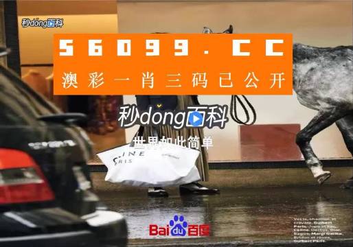 新澳一碼三中三資料，探索與解析，新澳一碼三中三資料解析與探索
