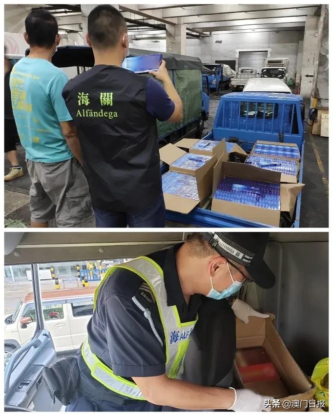 澳門今晚必開一肖080，揭秘生肖運勢與預測之謎，澳門今晚必開一肖揭秘，生肖運勢預測之謎開啟！