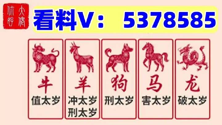 澳門馬站最快開獎結(jié)果，探索與解析，澳門馬站最新開獎結(jié)果解析