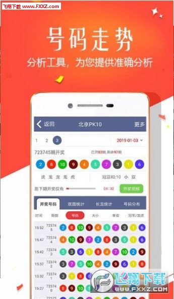王中王四肖選一，揭秘選擇與優(yōu)化策略，王中王四肖選一，選擇與優(yōu)化策略的揭秘