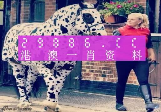 SEO優(yōu)化策略 第11頁