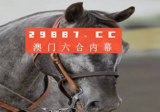 澳門一一碼一特一中準(zhǔn)選今晚，探索真實有效的選擇與策略，澳門今晚一特一中準(zhǔn)選碼，真實有效的選擇與策略探索