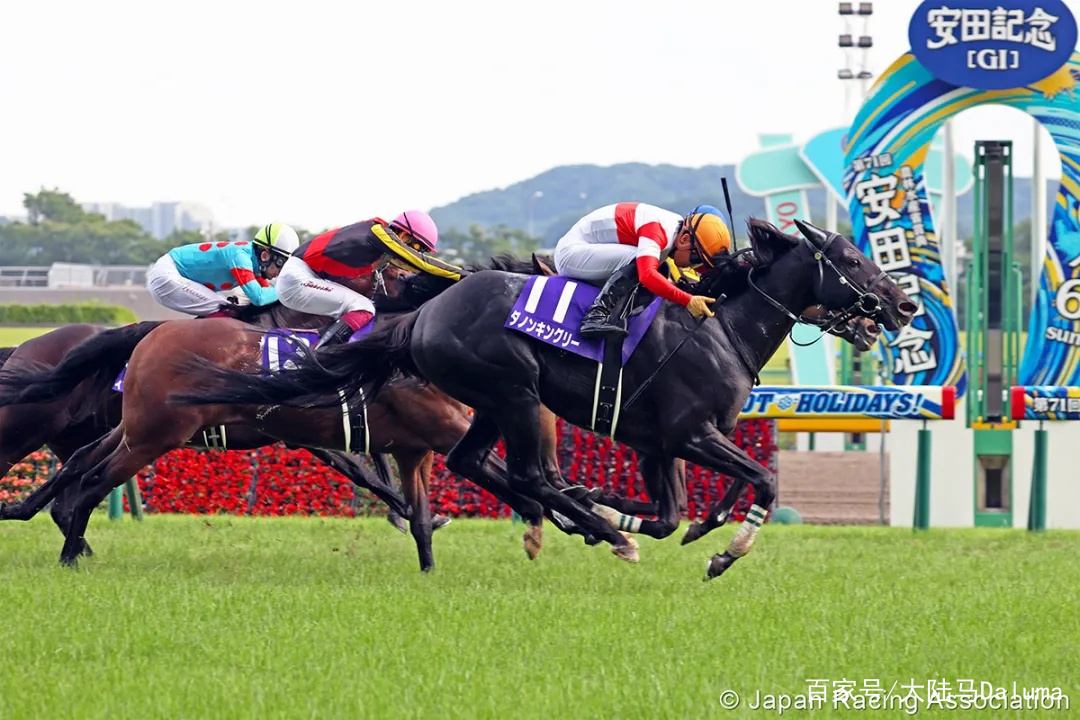 香港王中王與一馬中特肖的獨特魅力，深度解析與探索，香港王中王與一馬中特肖的獨特魅力，深度探索與解析