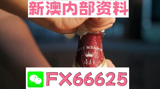 新澳門一碼一碼，揭秘精準預測的秘密與真相，揭秘澳門一碼一碼精準預測的秘密與真相