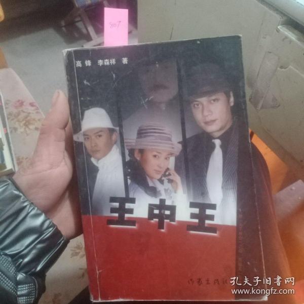 王中王資料一肖中天，深度解析與探索，王中王資料一肖中天，深度剖析與探索