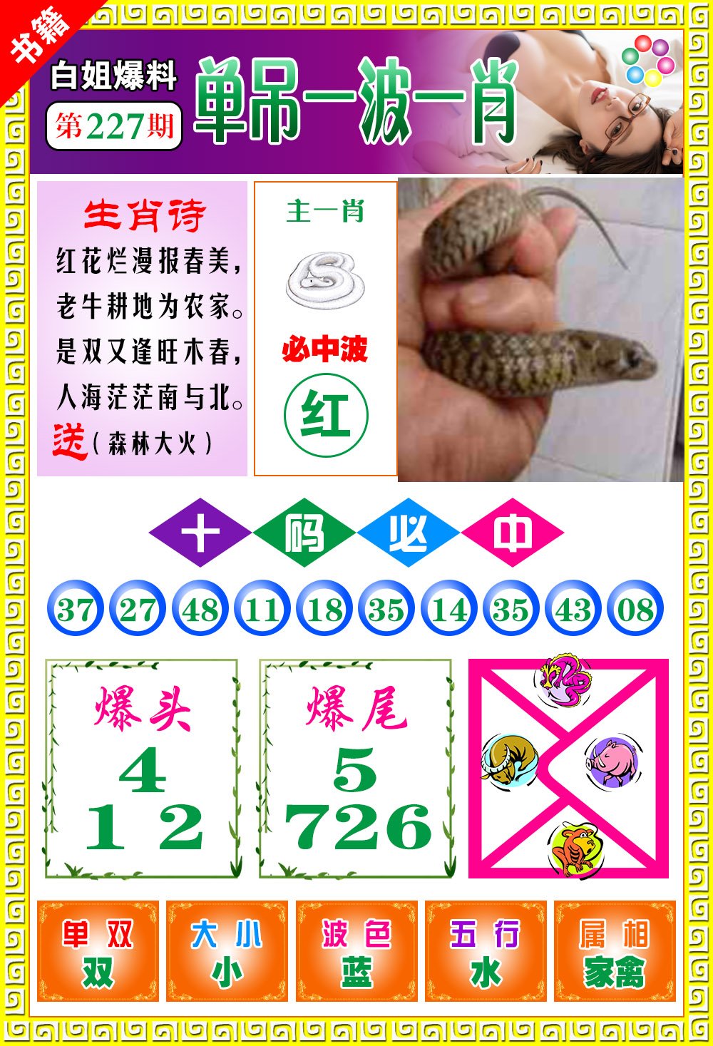 王中王免費開獎一肖結果，揭秘彩票背后的秘密，揭秘王中王彩票開獎內幕，一肖結果背后的秘密揭曉