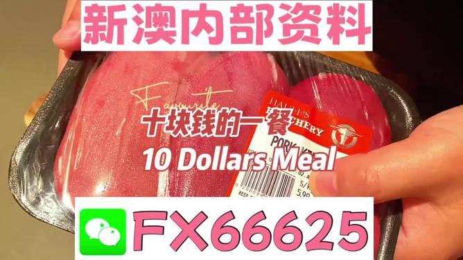 揭秘2025新澳精準(zhǔn)資料免費大全——一站式獲取最新資源，揭秘2025新澳精準(zhǔn)資料免費大全，最新資源一站式獲取