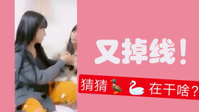 王中王欲錢詩猜一肖，王中王欲錢詩暗示的生肖之謎