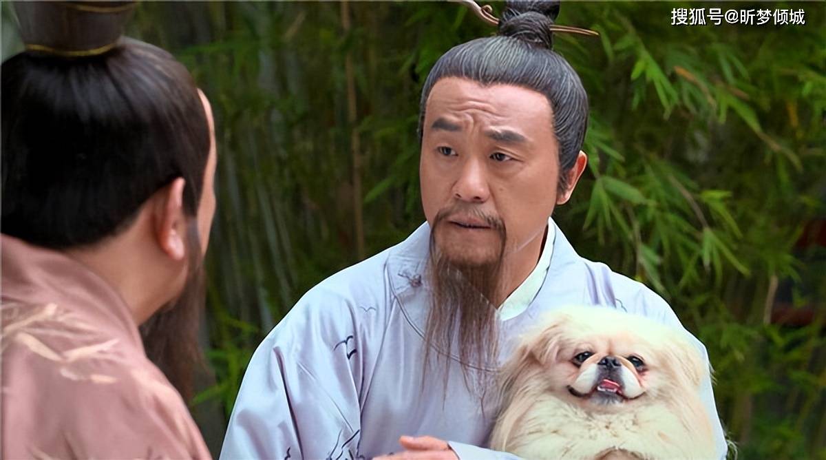 揭秘劉伯溫四不象一肖的神秘面紗——探尋背后的傳奇故事，揭秘劉伯溫四不象一肖背后的傳奇故事，神秘面紗下的神秘傳說(shuō)