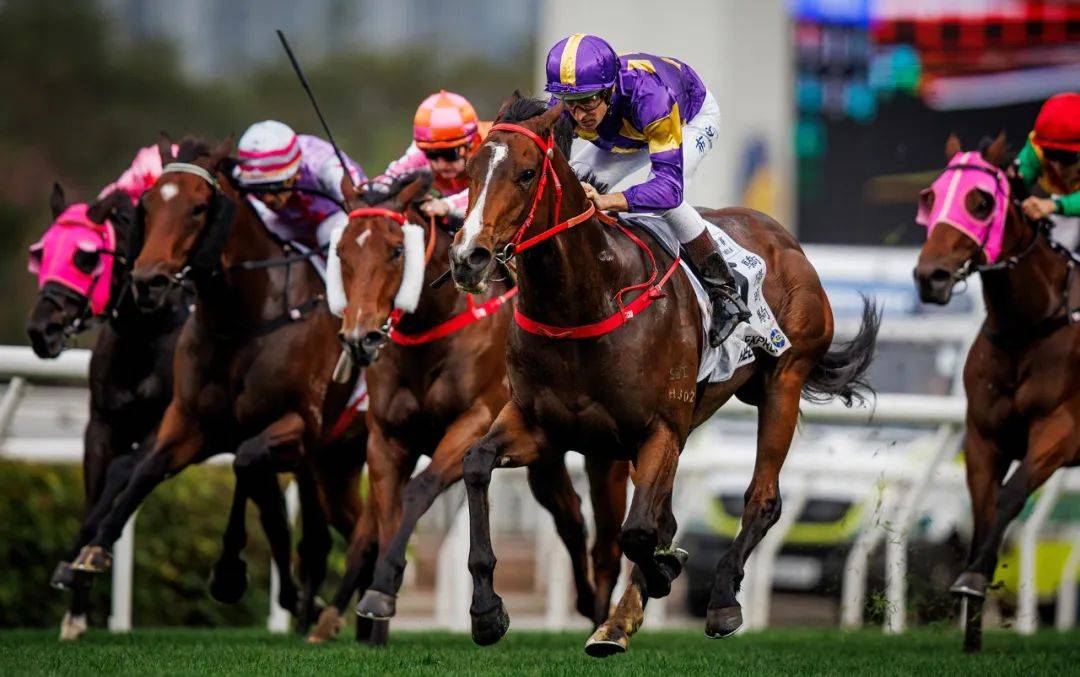 香港賽馬，探索賽馬運(yùn)動的激情與榮耀之地——7777788888的獨(dú)特魅力，香港賽馬，激情與榮耀的獨(dú)特魅力探索——777778賽馬運(yùn)動之地