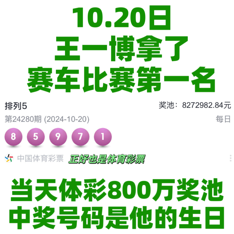王中王一肖資料中特馬——深度解析與SEO洞察，王中王一肖特馬深度解析與SEO洞察揭秘