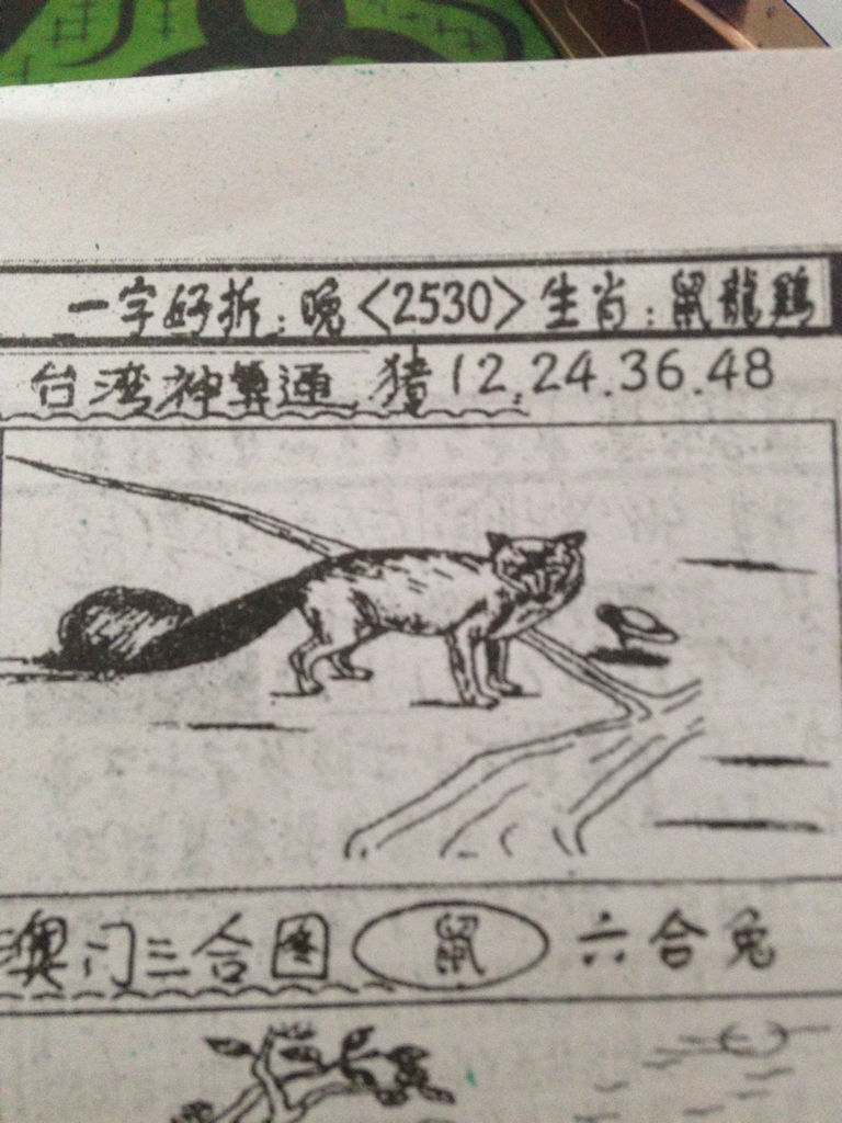 揭秘生肖奧秘，看圖猜一生肖劉伯溫的傳奇故事，揭秘生肖奧秘，劉伯溫傳奇故事中的生肖之謎探索