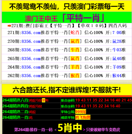 王中王資料一肖中特，深度解析與SEO優(yōu)化策略，王中王資料一肖中特深度解析與SEO優(yōu)化策略指南
