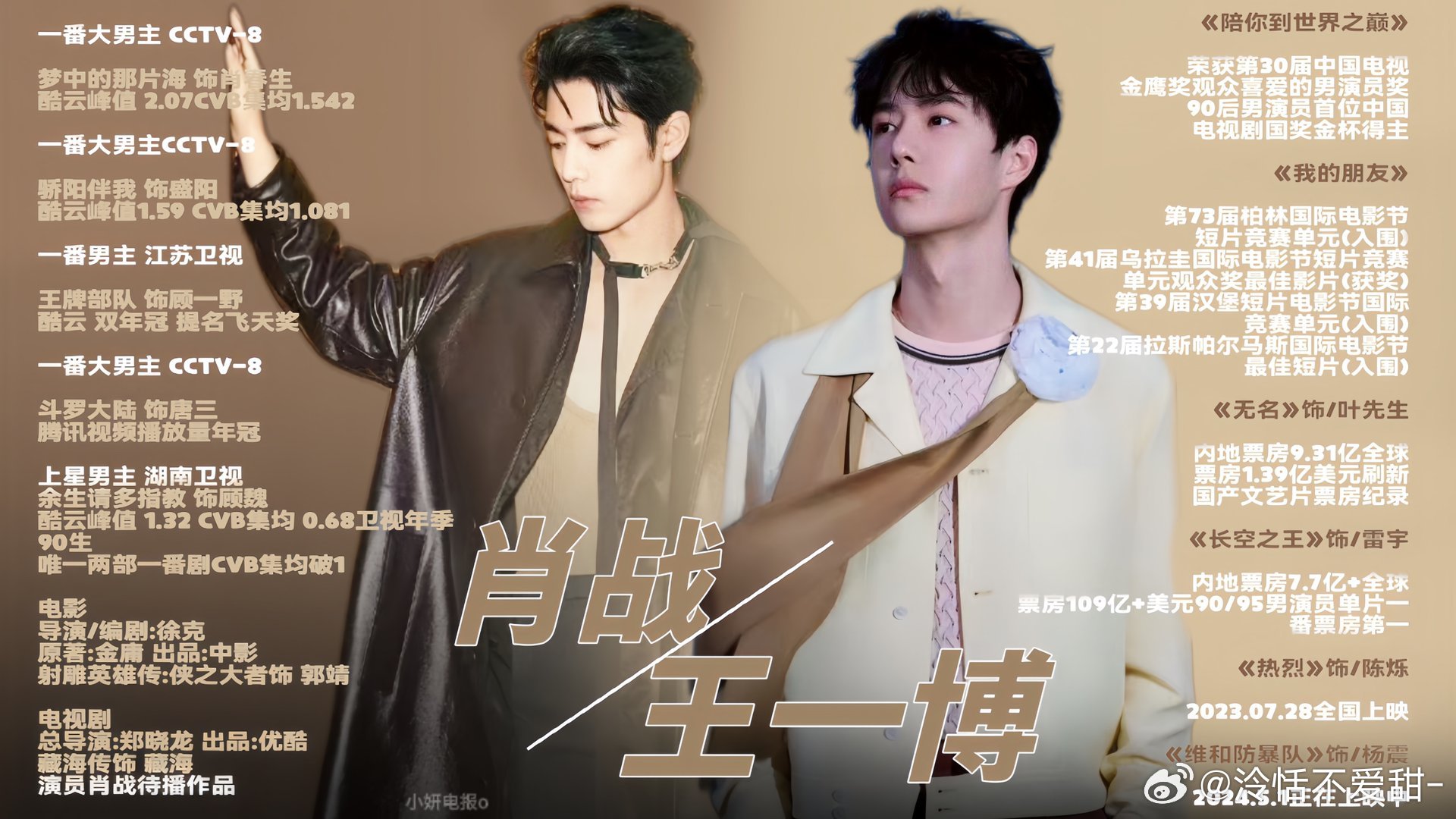 王中王一肖中特全年資料解析與SEO優(yōu)化策略，王中王一肖中特全年資料解析與SEO策略詳解