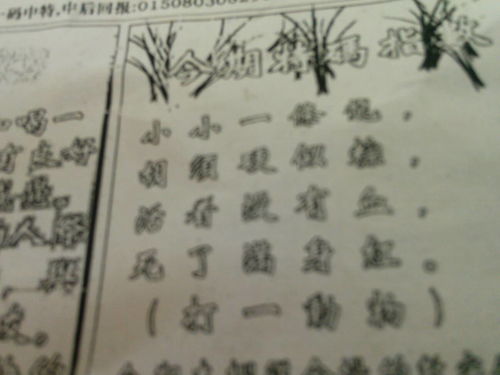 揭秘劉伯溫的一肖一特，探尋神秘傳奇背后的真相，劉伯溫傳奇揭秘，揭秘生肖之謎與獨(dú)特特質(zhì)背后的真相