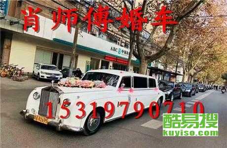 王中王車奪平特一肖免費——深度解析與探索，王中王車奪平特一肖，深度解析與免費探索