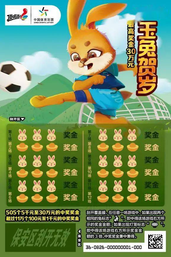 王中王一肖中特兔費，探索關鍵詞背后的奧秘，探索關鍵詞王中王一肖中特兔費背后的奧秘