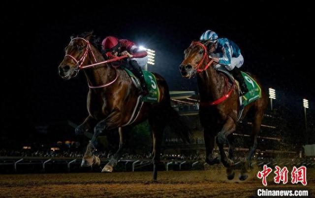 香港王中王一肖中特馬，探索背后的奧秘，香港王中王一肖中特馬背后的奧秘探索