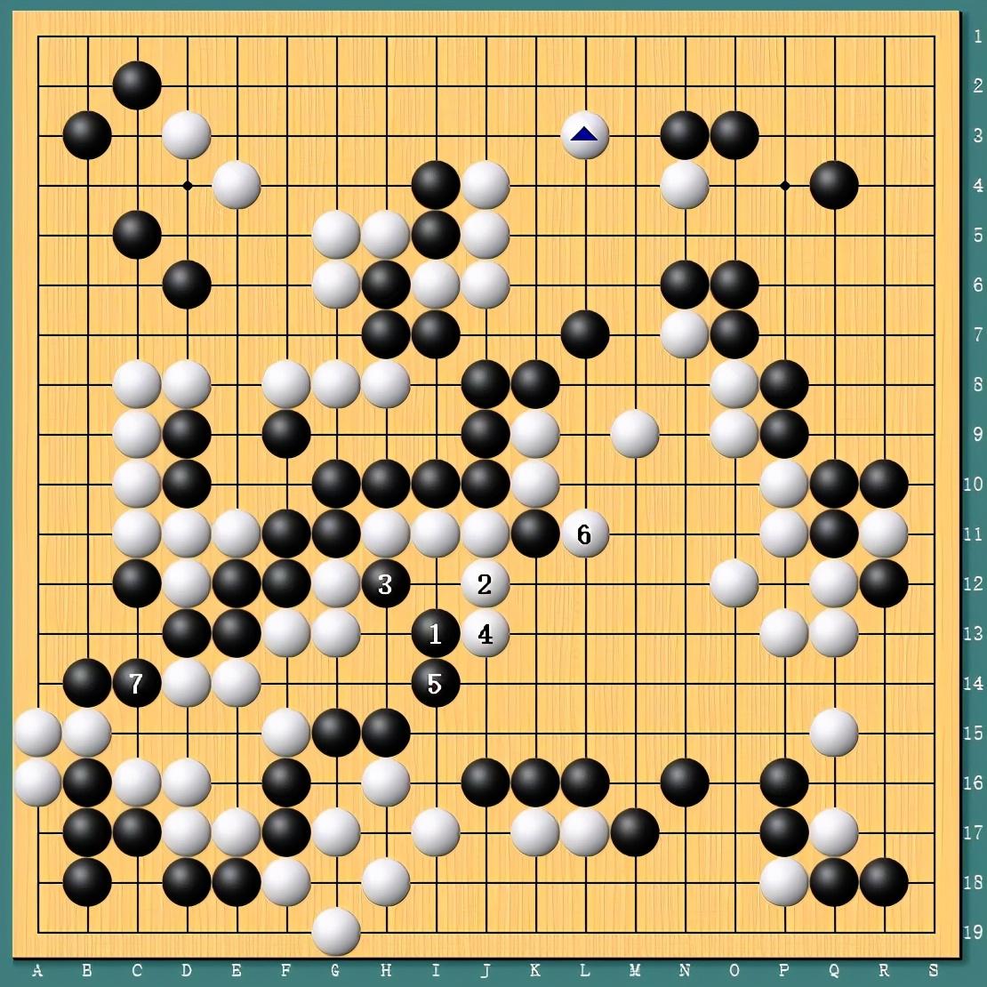 王中王四肖一碼資料論壇，探索與解析，王中王四肖一碼資料論壇，深度探索與解析