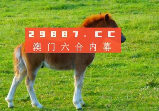 新奧門一肖一馬平特大全，揭秘熱門關鍵詞背后的故事，揭秘新澳門熱門關鍵詞背后的故事，一肖一馬平特大全