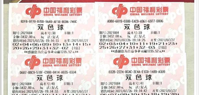 王中王084期指一生肖，解讀背后的秘密與生肖運勢分析，王中王084期生肖揭秘，秘密解讀與運勢展望