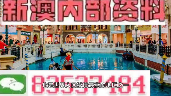 澳門王中王六碼新澳門，探索與解析，澳門王中王六碼新澳門，深度探索與解析