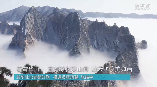 澳門最精準(zhǔn)龍門，探索真正的精準(zhǔn)之道，澳門最精準(zhǔn)龍門，揭秘真正的精準(zhǔn)之道
