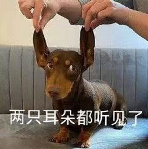 王中王四不象必中一肖，揭秘背后的秘密與策略，揭秘王中王四不象必中一肖背后的秘密與策略之道