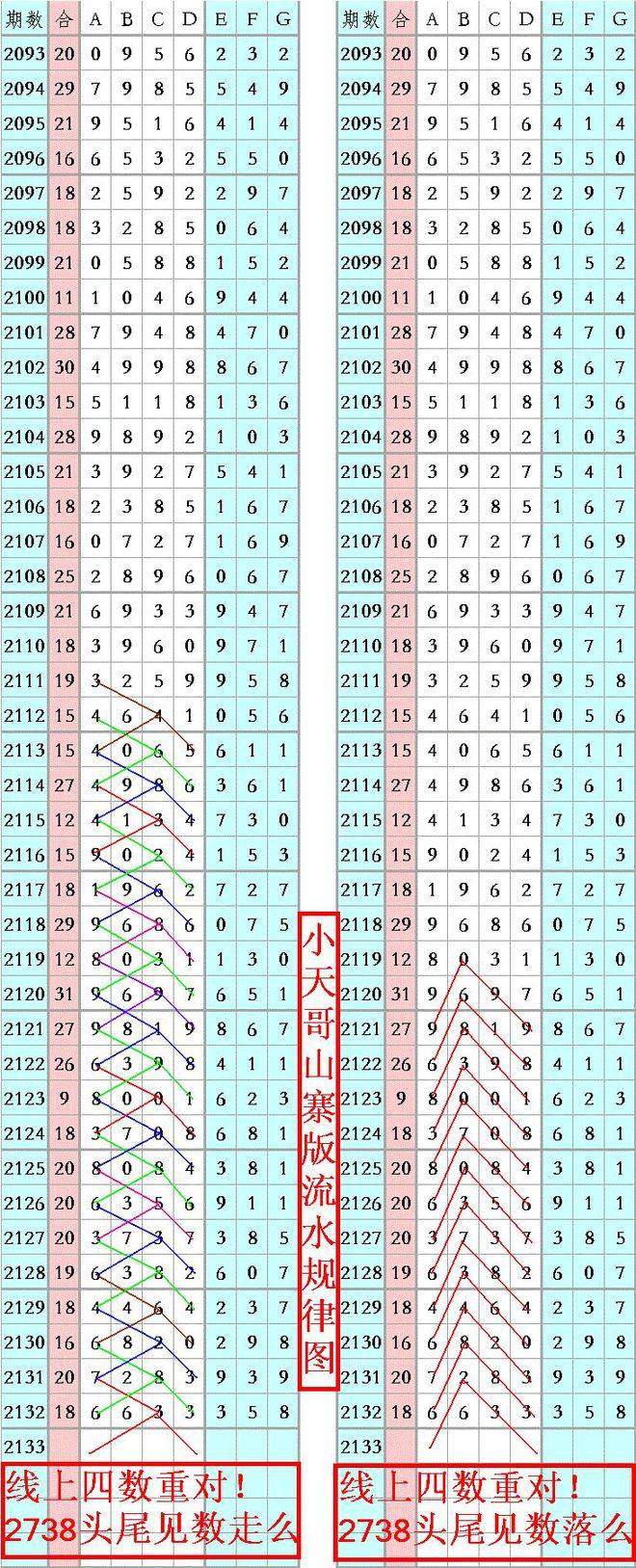 王中王資料一肖正特馬，深度解析與探索，王中王資料一肖正特馬深度解析與探索揭秘