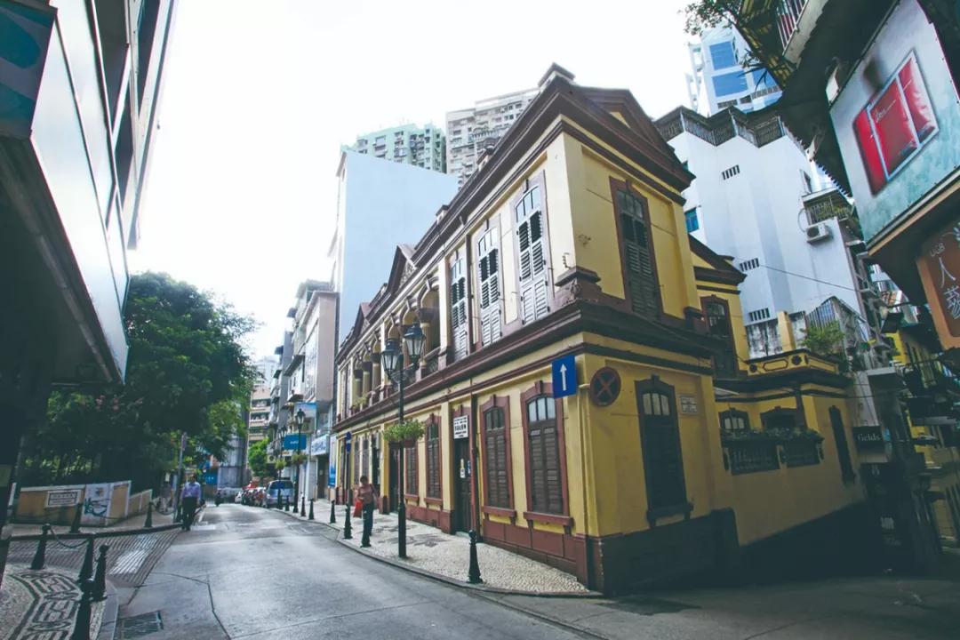 新澳門一肖單像——揭秘生肖彩票的奧秘，揭秘新澳門生肖彩票奧秘，一肖單像探秘