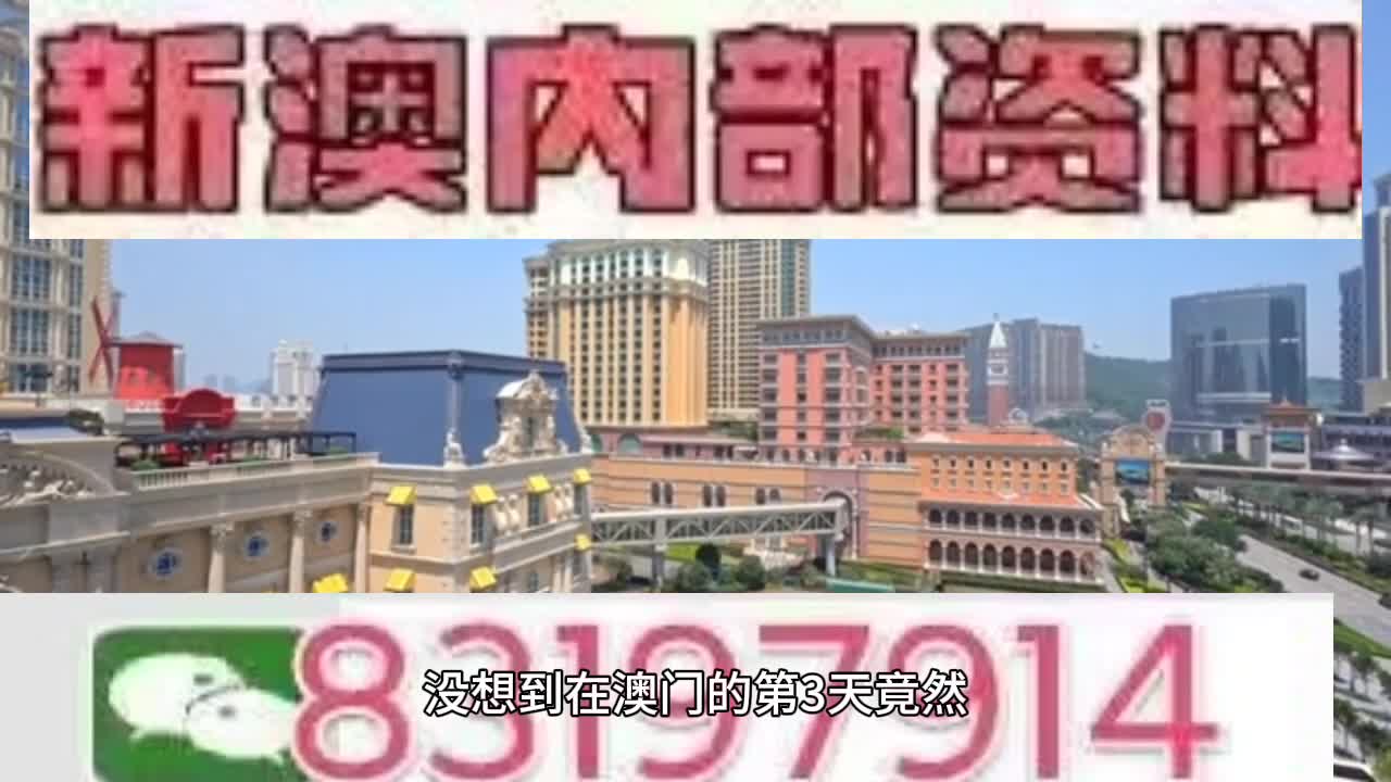新澳門今晚必開一肖一特，探索生肖與特碼的魅力，澳門生肖特碼探索，今晚必開一肖一特之魅力