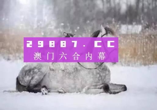 澳門正版精準資料，探索未來的趨勢與機遇（2024年展望），澳門正版精準資料揭秘，未來趨勢與機遇展望（2024年）