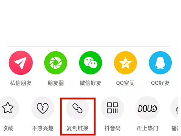白小姐王中王中特一肖，神秘傳奇與SEO探索，神秘傳奇與SEO探索，白小姐王中王中特一肖的奧秘