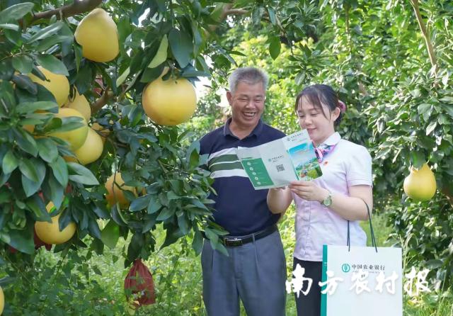 資料大全正版資料2025，一站式獲取所有你需要的信息，資料大全正版資料2025，一站式獲取所有信息總匯