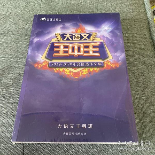 王中王資料2019一肖，揭秘生肖運勢與特性，揭秘生肖運勢與特性，王中王資料2019一肖解析