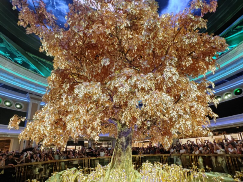 澳門搖錢樹開獎最快——探索彩票世界的神秘魅力，澳門搖錢樹彩票開獎揭秘，探索神秘彩票世界的魅力