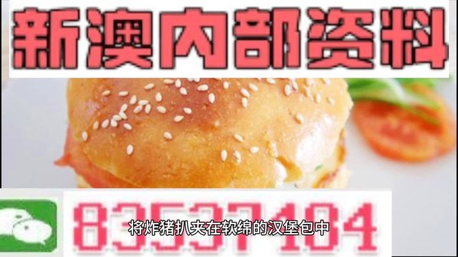 2025新澳正版資料精準(zhǔn)解析，2025新澳正版資料精準(zhǔn)解析手冊(cè)