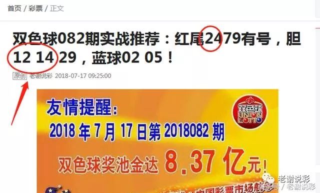 王中王082期指一生肖——探尋生肖魅力，洞悉運(yùn)勢奧秘，探尋生肖魅力，揭秘運(yùn)勢奧秘——王中王生肖運(yùn)勢解析 082期