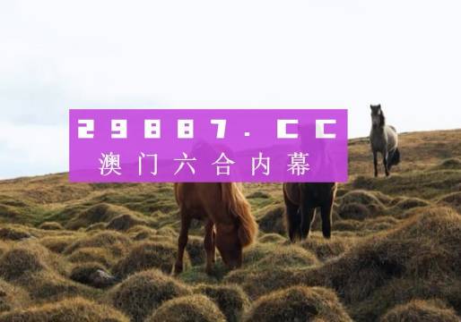 澳門六開獎結(jié)果2023開獎記錄查詢網(wǎng)站——全面解析與最新資訊，澳門六開獎結(jié)果最新解析與資訊，全面查詢2023年開獎記錄