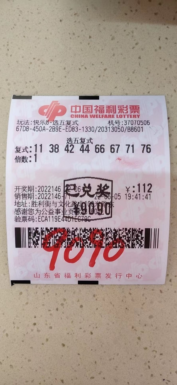 揭秘002期王中王平特一肖，背后的故事與奧秘，揭秘王中王平特一肖背后的故事與奧秘（第002期）